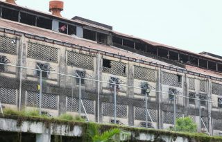 Al hombre se  le decretó detención provisional. Foto: Diómedes Sánchez