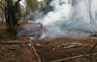 Cualquier quema mal manejada puede afectar gravemente la vegetación. Foto: Eric Montenegro