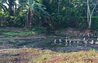 Los residentes hicieron un llamado urgente a las autoridades para que intervengan de manera inmediata y se adopten medidas que garanticen condiciones sanitarias adecuadas. Foto. Melquíades Vásquez