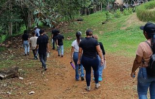 En Finca “La Vieja Molienda”, indica Espinosa, los visitantes tienen opciones de senderismo, hidroponía, el proceso postcosecha del café y agricultura circular. 