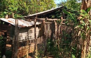 Las precipitaciones también causaron daños significativos en caminos y vías de acceso, agravando el aislamiento de comunidades rurales y evidenciando, según residentes, el prolongado abandono por parte de las autoridades. Foto. Melquíades Vásquez