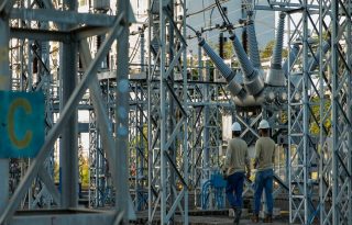 El 90% de los bajones o fallas eléctricas que ocurren en el país se deben a la mala ubicación de los árboles. Foto: Pexels