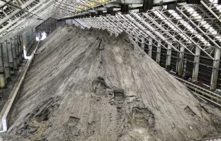 La nueva exportación dejará réditos superiores al país.