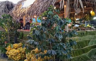 Lorelis Alveo, presidenta del patronato, dijo que para este año se ha confirmado la participación en esta feria de 55 artesanos y productores de la provincia. Foto. Eric Montenegro