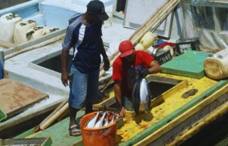 Actividad pesquera. Foto: Archivo