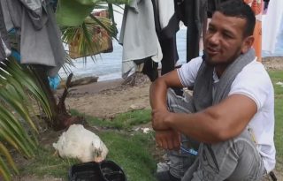 El animal está herido luego de que un perro lo mordiera. Foto: EFE