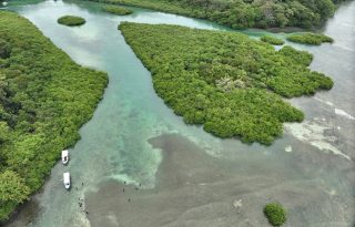  Panamá cuenta con una amplia riqueza de humedales distribuidos tanto en zonas costeras como continentales. Foto: EFE / Mi Ambiente