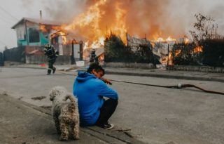 Casas afectadas por incendios forestales en Chile. Foto: EFE