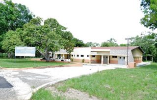 Los sicarios le propinaron varios disparos yalgunos alcanzaron en la cabeza, Tórax  y hombro. Foto. Ilustrativa