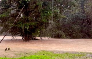 Las autoridades destacan que, a pesar de la situación climática, no se han registrado afectaciones severas. Foto. Sinaproc