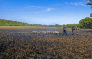 Se detectaron incidentes relacionados con incendio de masa vegetal. Foto: Cortesía