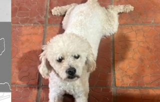 Mateo murió a mano de adictos.