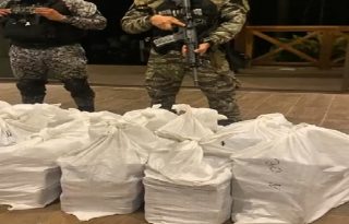 En la residencia se encontraron mil 192 paquetes de droga, además de tres armas de fuego tipo pistola y un camión con doble fondo.