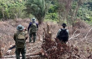 Hasta ahora, no se ha logrado ubicar a los responsables de la tala, pese a las labores de inspección y seguimiento realizadas en el área.