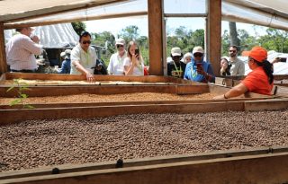 Una de las fincas visitadas por los extranjeros, en provincias centrales. Foto: Cortesía