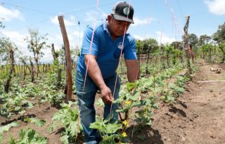 La recuperación del BDA continúa a buen ritmo en el 2026. Foto: Cortesía