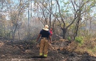 Existen diversas sospechas sobre el origen del incendio y no se descarta que haya sido provocado por mano criminal.