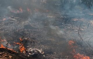 Los ciudadanos hacen un llamado a reforzar los controles, promover la denuncia y crear mayor conciencia sobre el impacto de las quemas