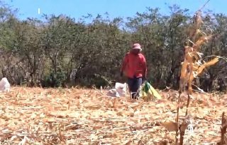 De acuerdo con los voceros del sector, la deuda acumulada por parte del Estado oscila entre 8 y 10 millones de dólares. Foto. Thays Domínguez