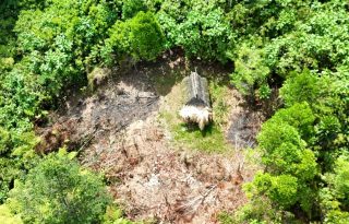 También se identificó una choza en la zona. Foto: Diomedes Sánchez