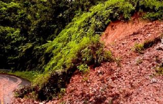 Los funcionarios del Sinaproc, atendieron dos deslizamientos y caída de árboles a la altura de quebrada Pera, en Veraguas. Foto. Sinaproc