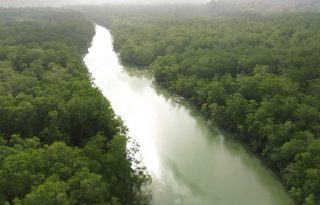 Las comunidades fortalecieron su compromiso con la protección del territorio. Foto: FAO/Cortesía