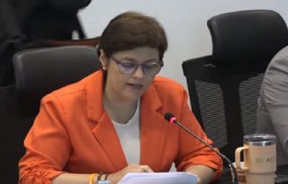 Honorable diputada Graciela Hernández.