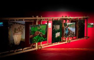 La exposición 'El jardín de Mr. Brown' se inauguró el 18 de marzo. Foto: Cortesía