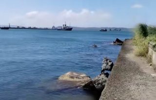 No existe ninguna disposición general que restrinja el uso de las playas públicas. Foto: Diomedes Sánchez