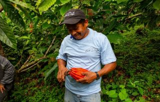  Para obtener la certificación Bird Friendly, el cultivo orgánico es primordial. Foto: Cortesía