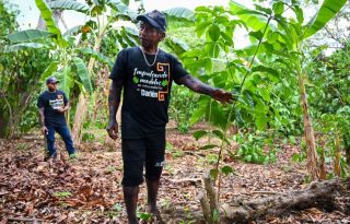 Dionisio García ha dedicado siete años al cultivo del café. Foto: Cortesía