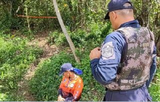 El rostro del hombre estaba cubierto por picaduras de abejas, confirmó Nieto.