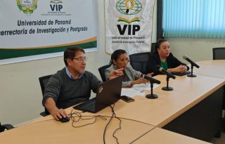 El estudio identifica además fuertes brechas sectoriales y territoriales. Foto: Cortesía