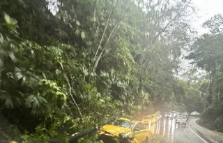 La caída de árboles afectó el libre tránsito, además un taxi también resultó con daños.