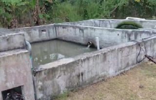 Solicitan la implementación formal de un plan de operación y mantenimiento, con registros verificables; una evaluación y certificación de los parámetros de calidad del agua tratada