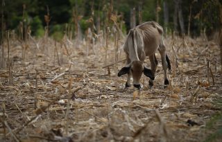 Los fenómenos climáticos extremos seguirán ocurriendo.