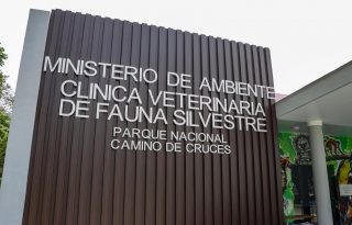 La entidad informó que se estarán reforzando los protocolos internos de atención. Foto: Cortesía