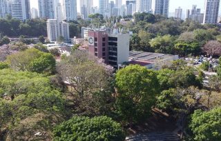 Universidad de Panamá. Foto: Cortesía