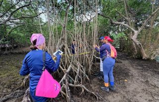 Exploración del área. Foto: Diomedes Sánchez