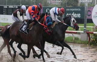 Nueve balanceadas carreras habrá en el Hipódromo Presidente Remón. Foto: Omar Yerar Batista