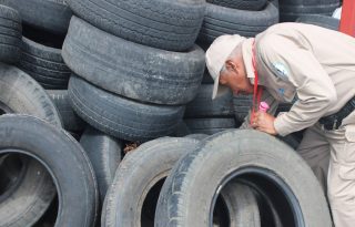 Los corregimientos de Tocumen, Puerto Pilón y Veracruz superan los 100 contagios, mientras que el grupo etario más afectado continúa siendo el de 10 a 14 años.