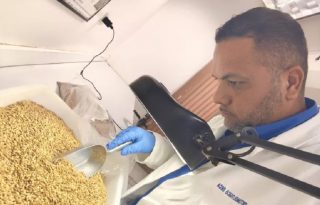 Del total de análisis efectuados, mil 611 corresponden a alimentos importados.