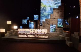 Exhibición 
