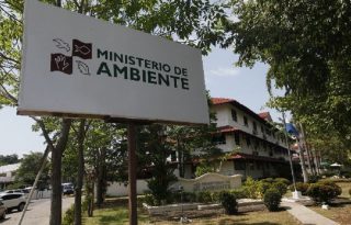Reforestación y educación ambiental marcan el cierre del Mes de los Recursos Naturales.