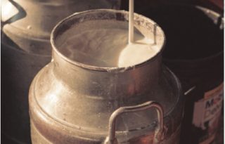 Los productores de leche se han visto afectados en los últimos años y este sería un nuevo golpe. Foto ilustrativa