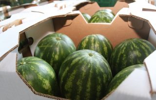 Estados Unidos de América se mantiene como el principal comprador de productos panameños. Foto: Cortesía