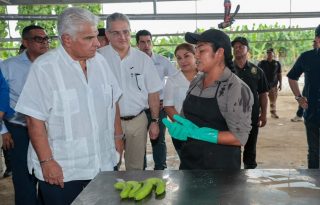 El presidente José Raúl Mulino recorrió la Finca 12 en Bocas del Toro junto a directivos de Chiquita.