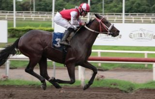 Con Paso Firme. Foto: Omar Yerar