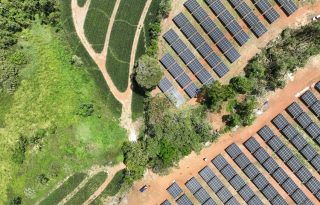 La planta se ubica en el departamento de Zapaca. Foto: Cortesía