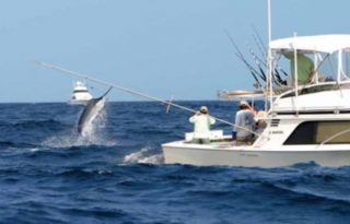 Pesca Deportiva panameña. Foto: ilustrativa/Epasa 